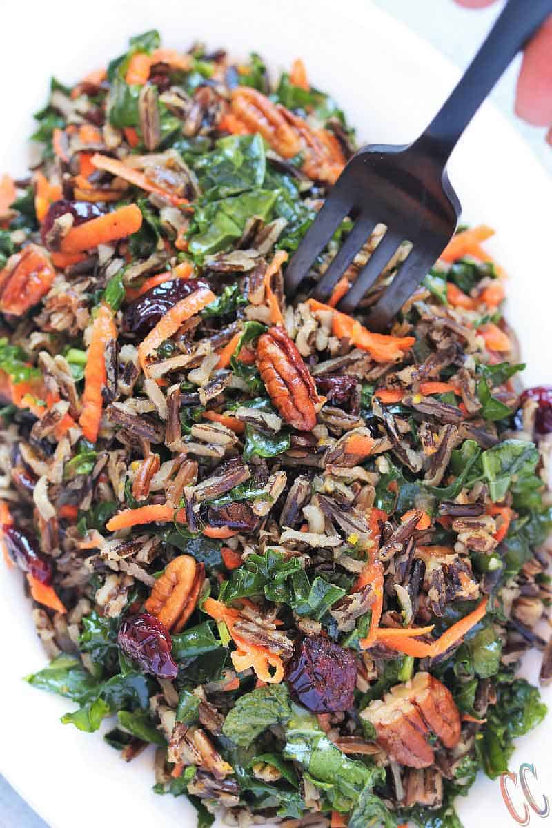 Wild Rice Salad - Scrumptious, Bursting with citrus flavors, Loaded with Vitamin C rich Kale and Vitamin A rich Carrots, lots of Pecans and cranberries for extra crunch and taste, Vegan Salad recipe that can be enjoyed at any time of the year.
